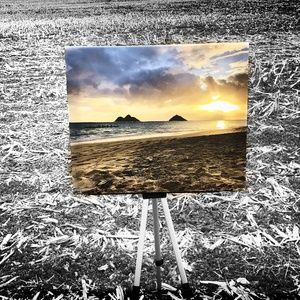 16x20 canvas picture